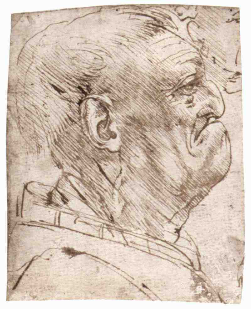 Cartoon of a man, Leonardo da Vinci
