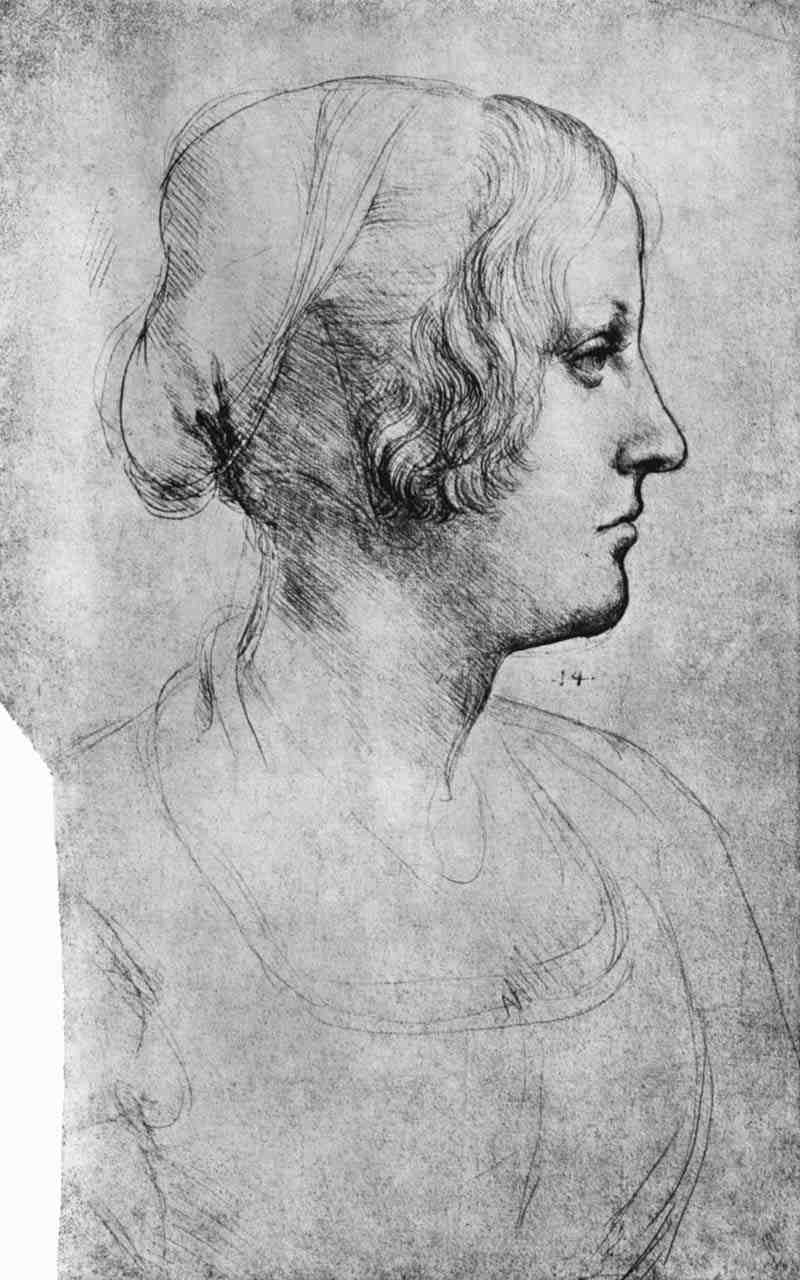 Head of a girl, Leonardo da Vinci