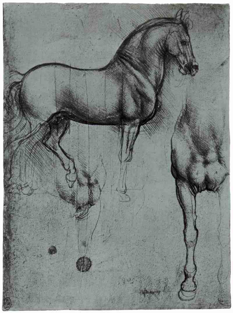 Horses studies. Leonardo da Vinci