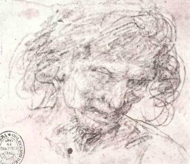 Man's head, Diego Velazquez