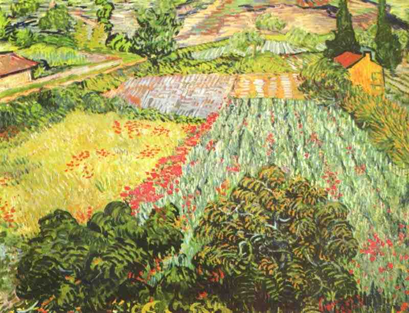 The Poppy Field, Vincent van Gogh