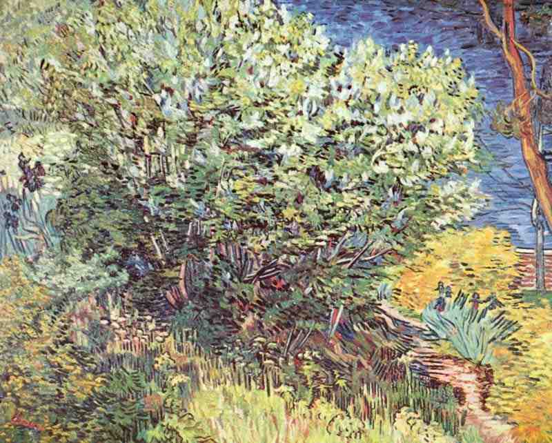 The bushes, Vincent van Gogh