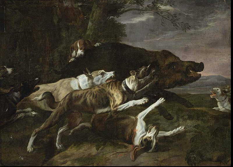 Hounds Assailing a Boar, Pieter Boel