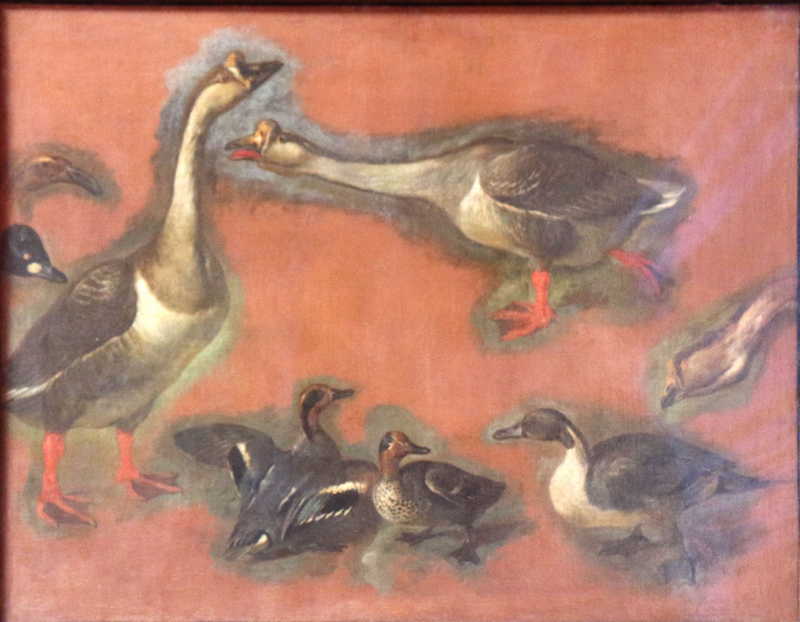 Two geese, three ducks, three heads of geese and ducks, Pieter Boel