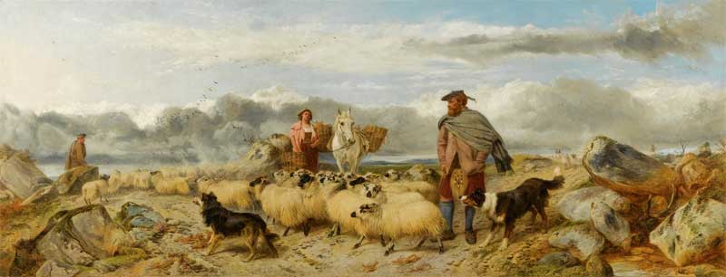 Gathering the Flock. Richard Ansdell