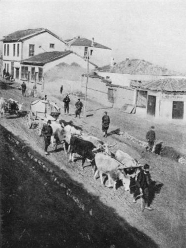 ox transport in the balkans