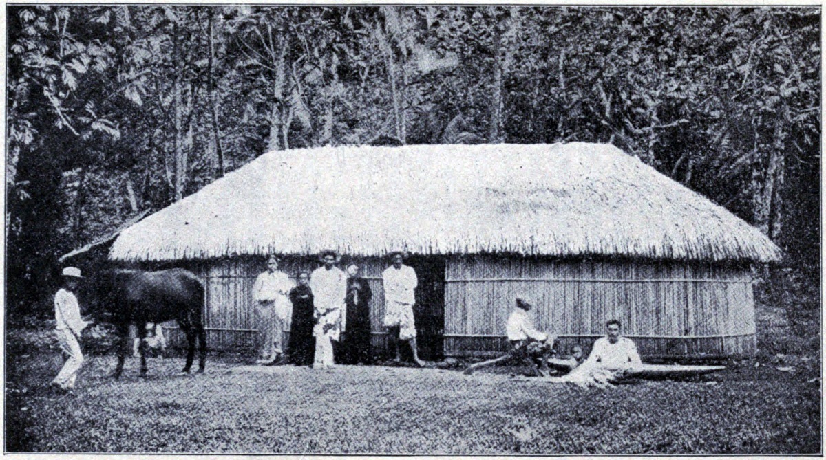 TAHITIAN BAMBOO HOUSE