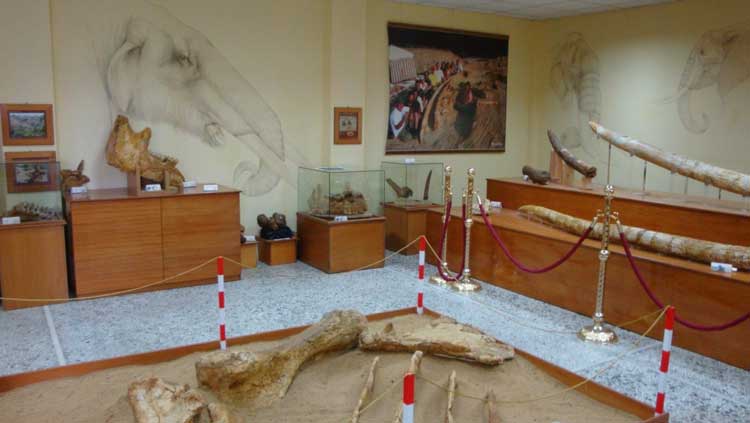 Παλαιοντολογικό Μουσείο Μηλέας Γρεβενών