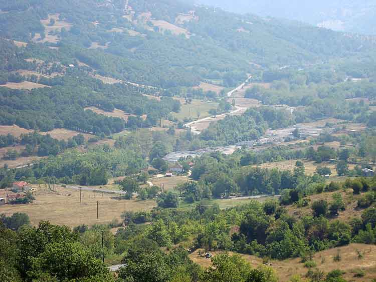 Trygona, Karditsa
