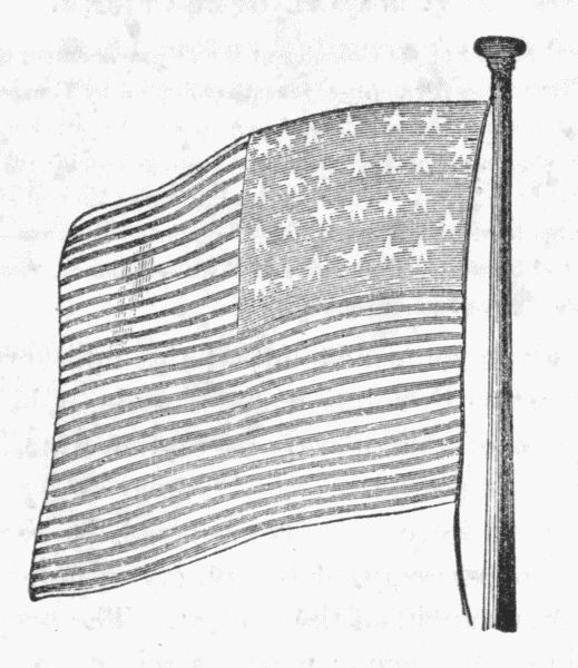 Tailpiece—American Flag