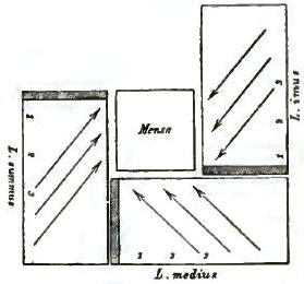 FIGURE 120. TABLE AND COUCHES