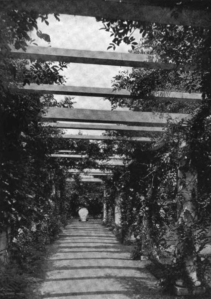 THE SUNLIGHT SIFTS THROUGH THE SHELTERING VINES OF THE PERGOLA