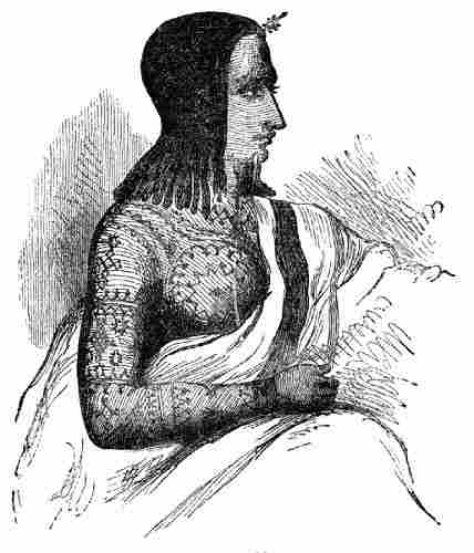 Tattoed Abyssinian Lady