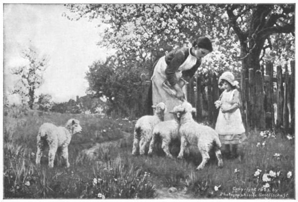 A little girl watches a woman bottlefeed one of a small group of lambs