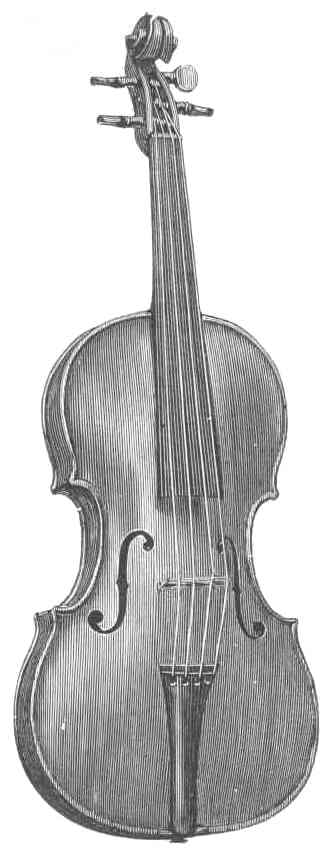 Stainer Violin