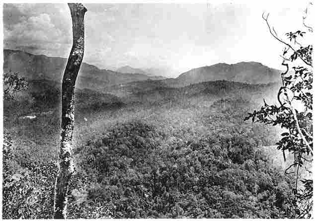 Landschaft von Mittel-Borneo (oberer Mahakam).