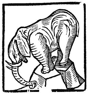 Text-fig. 20. “Yvery” = Ivory [The Grete Herball, 1529].