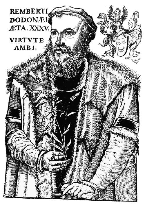 Text-fig. 36. Rembert Dodoens, 1517-1585
