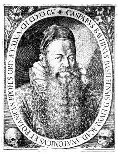 GASPARD BAUHIN (1560-1624).