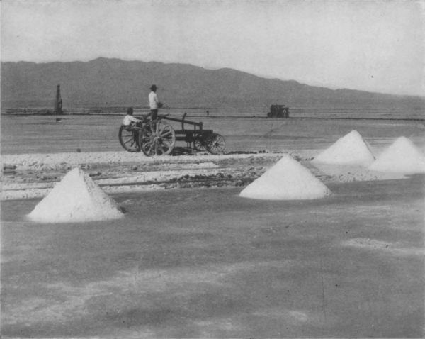 PLOWING SALT IN COLORADO DESERT