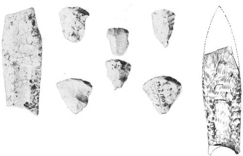 Broken Clovis point and sharp-cornered scrapers from Ocmulgee excavations. Point length 3¹¹/₁₆ inches. Artist’s reconstruction of point at left.