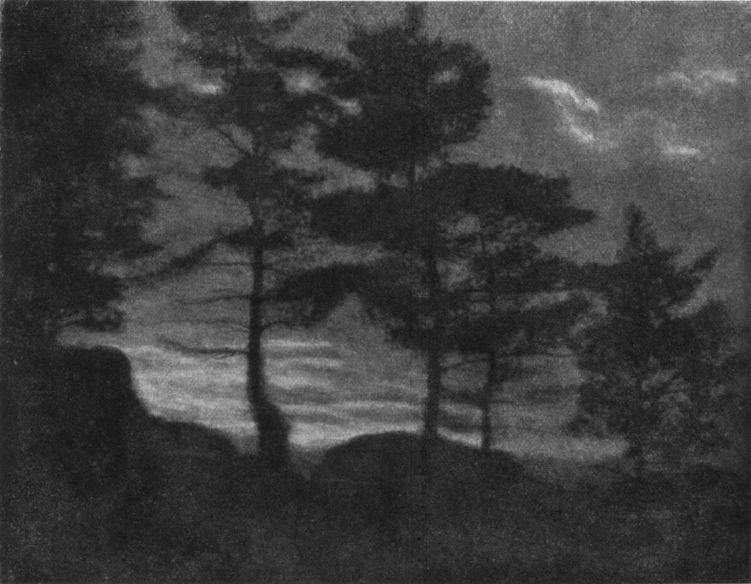 LANDSCAPE, By Eleanor C. Erving, Albany, N. Y.