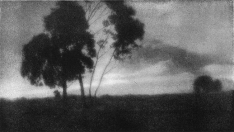 TREES AND CLOUDS, By Dr. William F. Makk, Los Angeles, Cal.