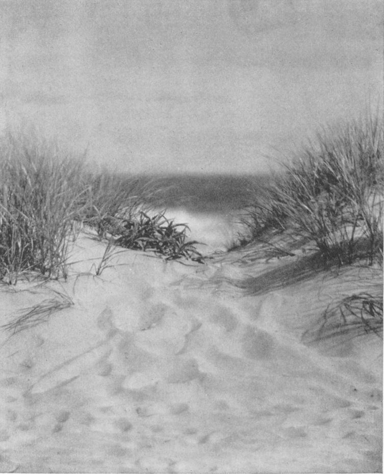 SAND DUNE, By Mildred Ruth Wilson, Flushing, Long Island