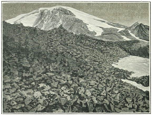 Fig. 36. Summit of Ararat from the South-East, taken at a height of about 13,000 feet.