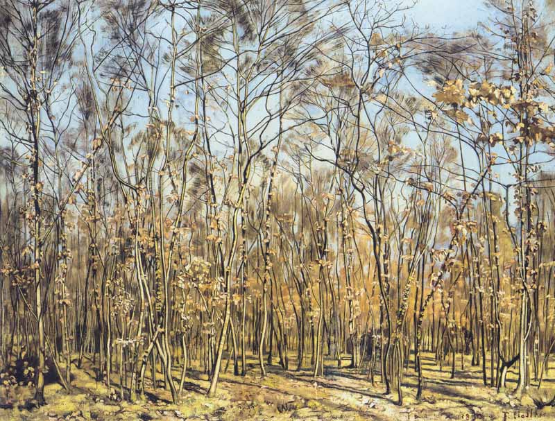 The Beech Forest, Ferdinand Hodler