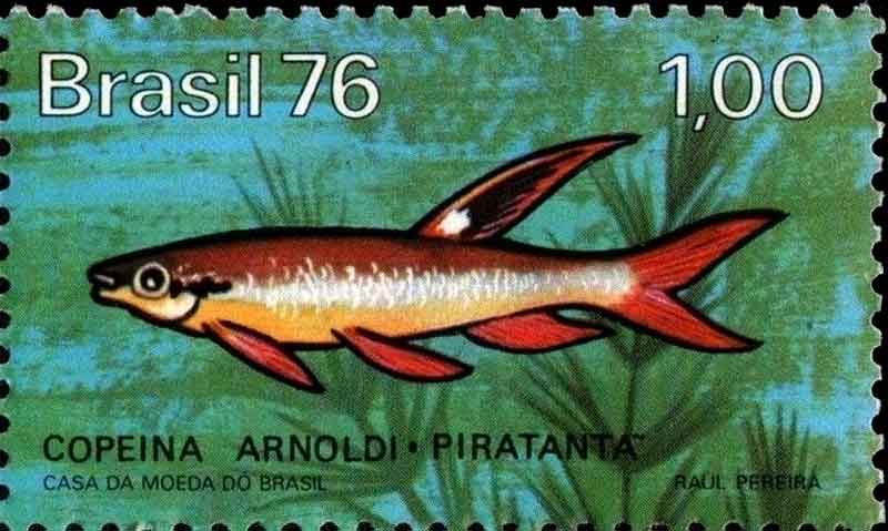 Brazilian Stamps