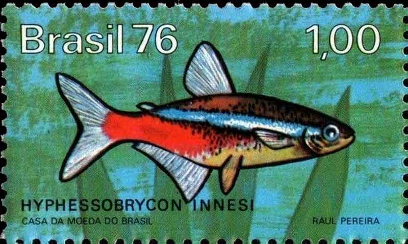 Brazilian Stamps