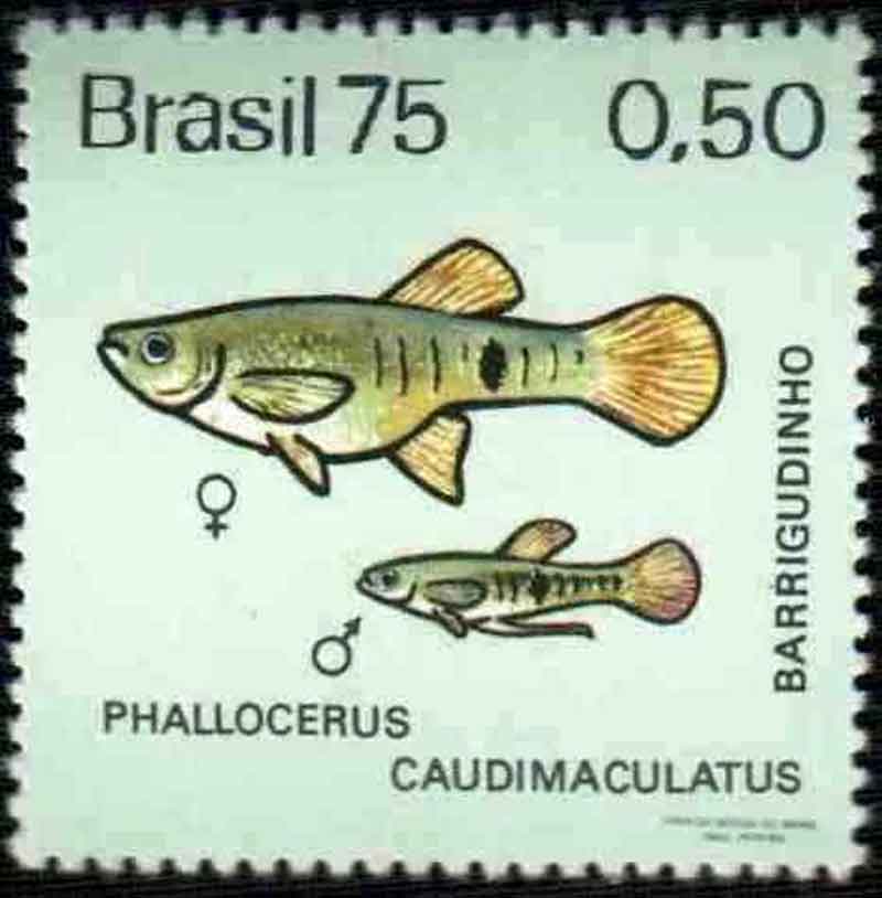 Brazilian Stamps