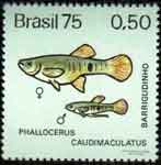 Brazilian Stamps