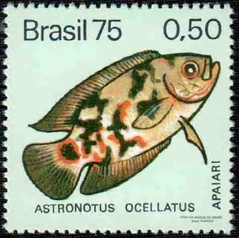 Brazilian Stamps