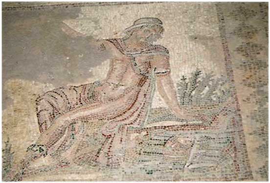 Narcissus, Paphos Mosaics