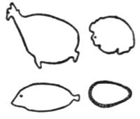 Examples of prehistoric work (drawing)