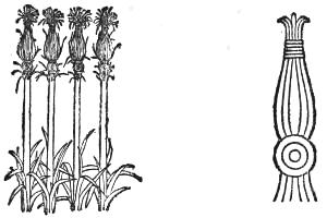 Papyrus stems and resulting wall ornament (drawing)