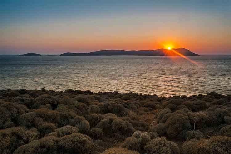 Αντίψαρα