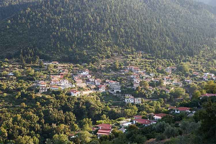 Σίταινα Αρκαδίας