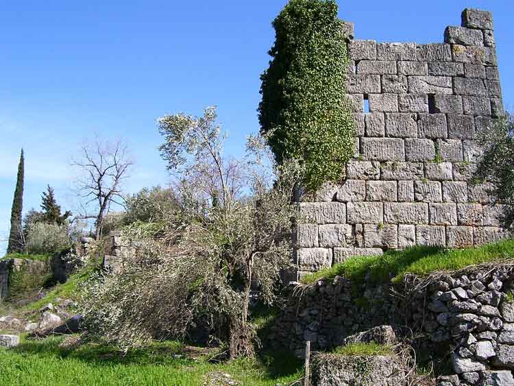 Τιθορέα Φθιώτιδας 