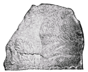 Fig. 2. Relief from Mycenae (?), No. 5.