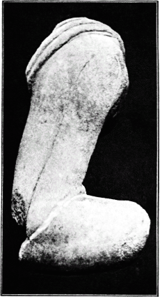 Fig. 2. Arm. No. 330.