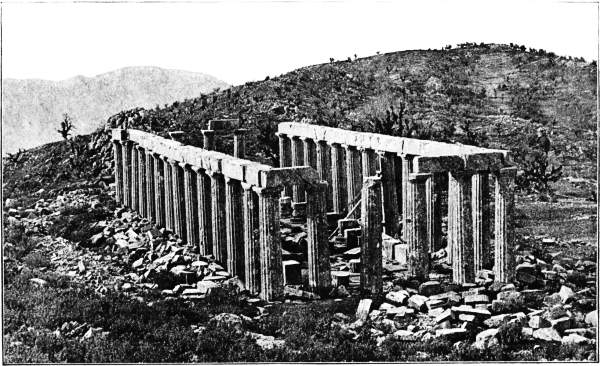 View of the Temple of Apollo at Phigaleia.