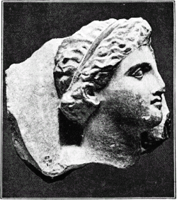 Fig. 2. Fragment of a Sepulchral Relief. No. 672.