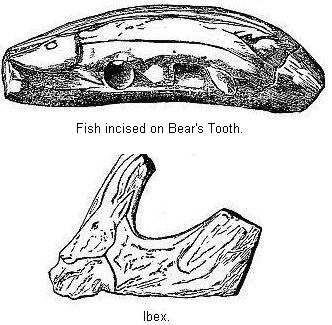 Fish, Incised on Bear's Tooth and Ibex.