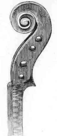 Stradivari scroll