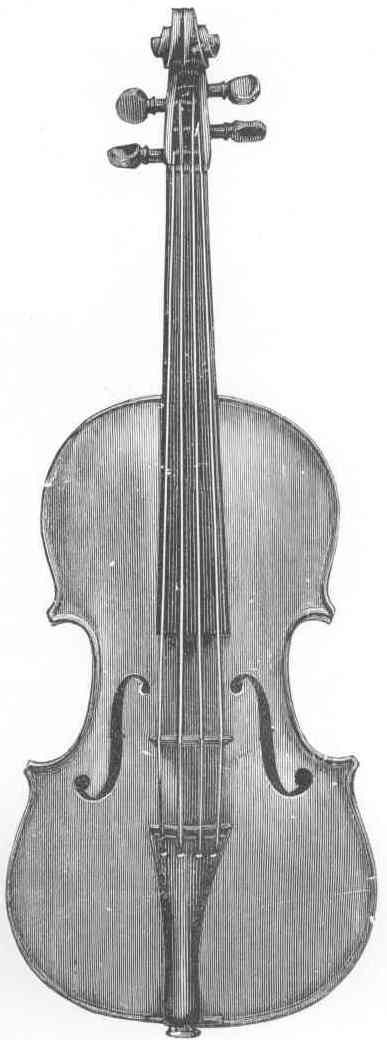Stradavari Violin