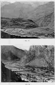 Fig. 27—Terraced valley slopes at Huaynacotas, Cotahuasi Valley, Peru. Elevation 11,500 feet (3,500 m.).
