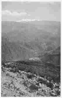 Fig. 131—Terraced valley slopes at Huaynacotas, Cotahuasi Valley, at 11,500 feet (3,500 m.). Solimana is in the background. On the floor of the Cotahuasi Canyon fruit trees grow. At Huaynacotas corn and potatoes are the chief products. The section is composed almost entirely of lava. There are over a hundred major flows aggregating 5,000 to 7,000 feet thick.